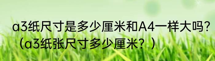 a3纸尺寸是多少厘米和A4一样大吗？（a3纸张尺寸多少厘米？）