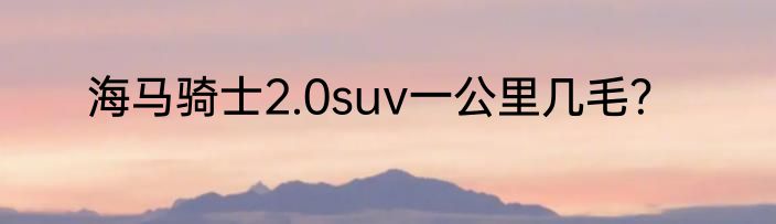 海马骑士2.0suv一公里几毛？