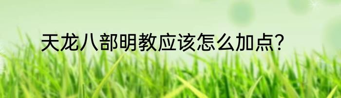 天龙八部明教应该怎么加点？