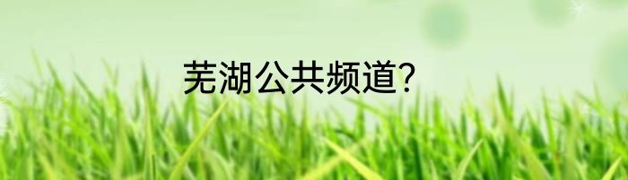 芜湖公共频道？