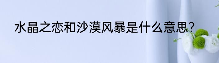 水晶之恋和沙漠风暴是什么意思？