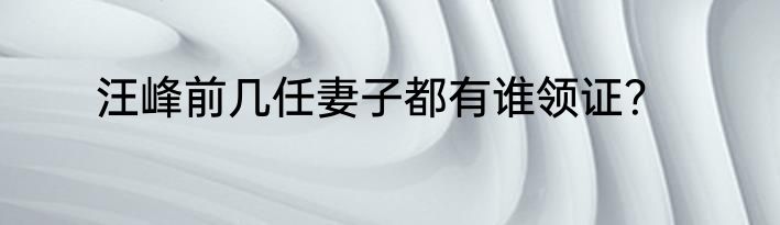 汪峰前几任妻子都有谁领证？