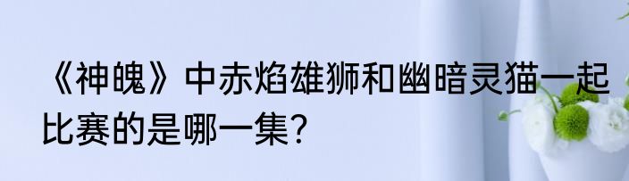 《神魄》中赤焰雄狮和幽暗灵猫一起比赛的是哪一集？