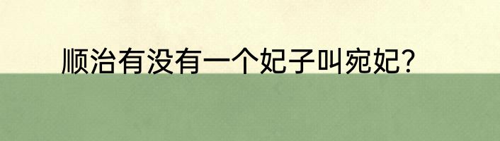 顺治有没有一个妃子叫宛妃？