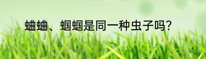 蛐蛐、蝈蝈是同一种虫子吗？