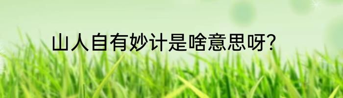 山人自有妙计是啥意思呀？