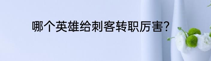 哪个英雄给刺客转职厉害？