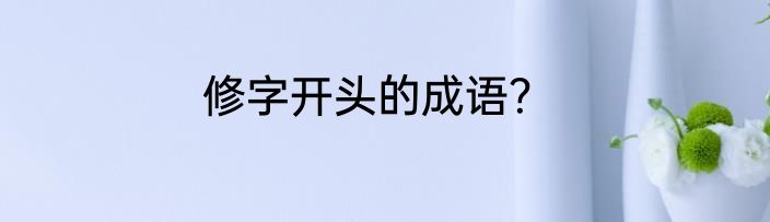 修字开头的成语？
