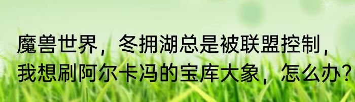 魔兽世界，冬拥湖总是被联盟控制，我想刷阿尔卡冯的宝库大象，怎么办？