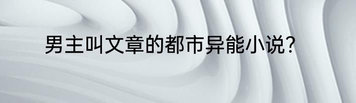 男主叫文章的都市异能小说？