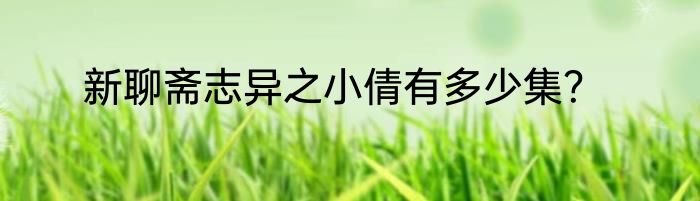 新聊斋志异之小倩有多少集？