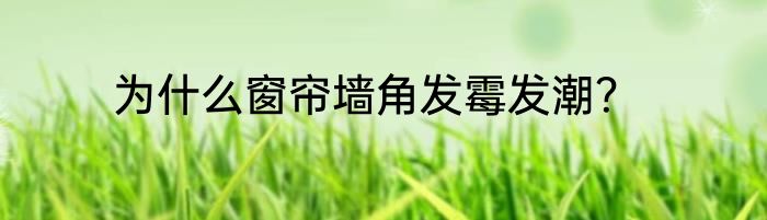 为什么窗帘墙角发霉发潮？