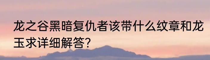 龙之谷黑暗复仇者该带什么纹章和龙玉求详细解答？