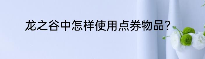 龙之谷中怎样使用点券物品？