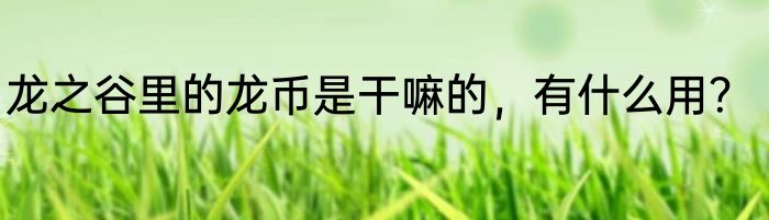 龙之谷里的龙币是干嘛的，有什么用？