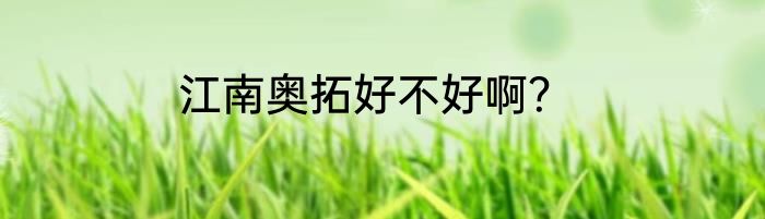 江南奥拓好不好啊？