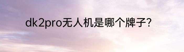 dk2pro无人机是哪个牌子？