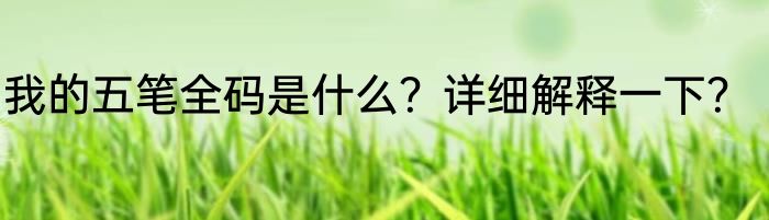 我的五笔全码是什么?详细解释一下?