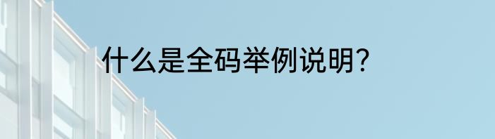 什么是全码举例说明？