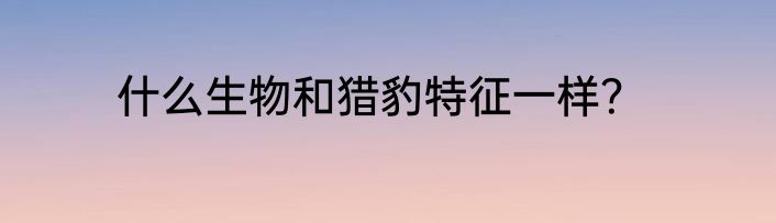 什么生物和猎豹特征一样？