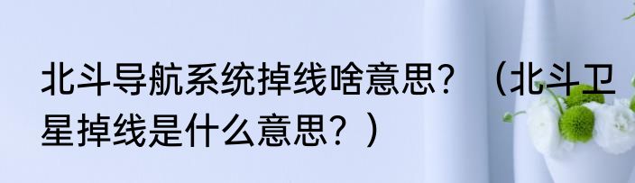 北斗导航系统掉线啥意思？（北斗卫星掉线是什么意思？）