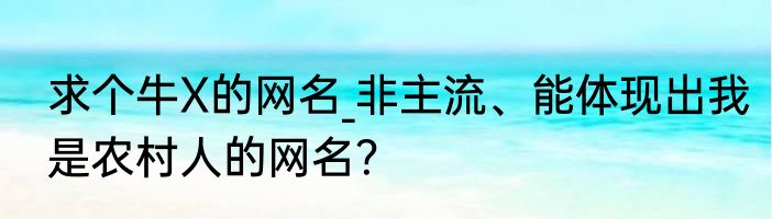 求个牛X的网名_非主流、能体现出我是农村人的网名？