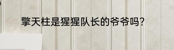 擎天柱是猩猩队长的爷爷吗？