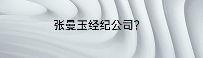 张曼玉经纪公司？