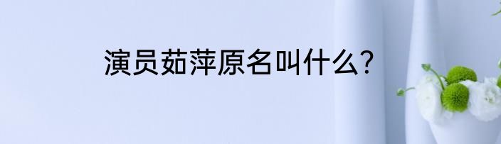 演员茹萍原名叫什么？