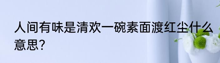 人间有味是清欢一碗素面渡红尘什么意思？
