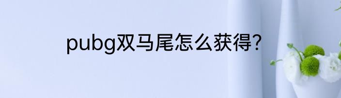 pubg双马尾怎么获得？
