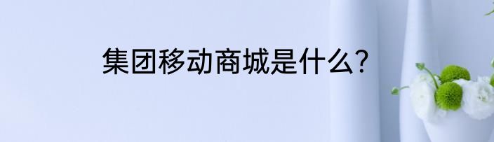 集团移动商城是什么？