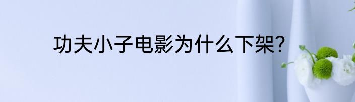 功夫小子电影为什么下架？