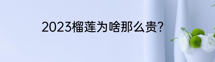 2023榴莲为啥那么贵？