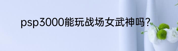 psp3000能玩战场女武神吗？