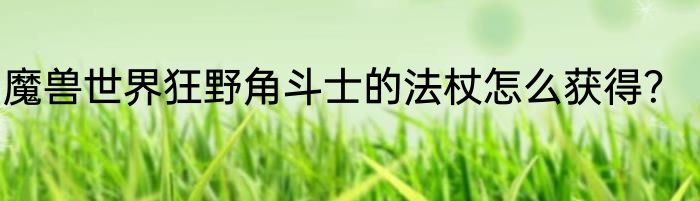 魔兽世界狂野角斗士的法杖怎么获得？