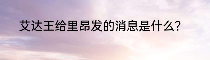 艾达王给里昂发的消息是什么？