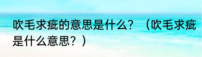 吹毛求疵的意思是什么？（吹毛求疵是什么意思？）