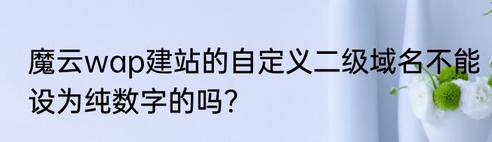 魔云wap建站的自定义二级域名不能设为纯数字的吗？