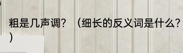 粗是几声调？（细长的反义词是什么？）