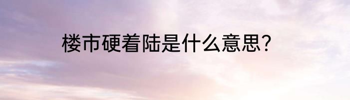 楼市硬着陆是什么意思？