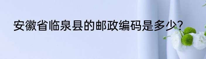 安徽省临泉县的邮政编码是多少？