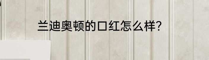 兰迪奥顿的口红怎么样？