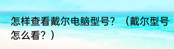怎样查看戴尔电脑型号？（戴尔型号怎么看？）