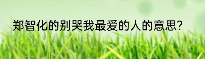 郑智化的别哭我最爱的人的意思？