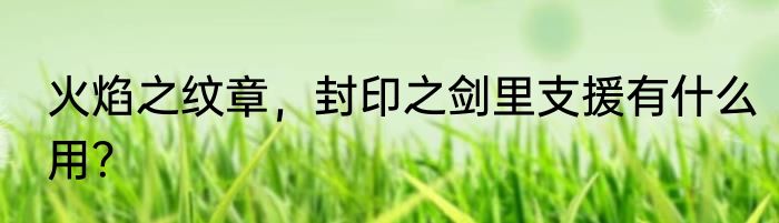 火焰之纹章，封印之剑里支援有什么用？