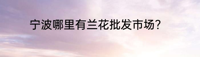 宁波哪里有兰花批发市场？