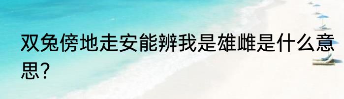 双兔傍地走安能辨我是雄雌是什么意思？