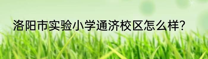 洛阳市实验小学通济校区怎么样？