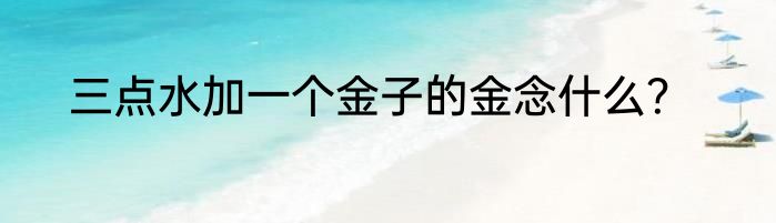 三点水加一个金子的金念什么？